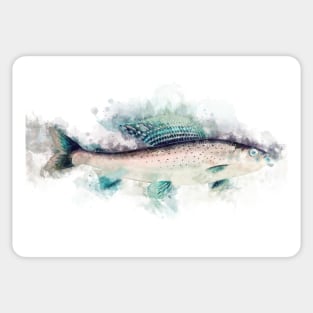 Arctic GRAYLING Watercolor Art for the Fishing Lovers and Anglers Sticker